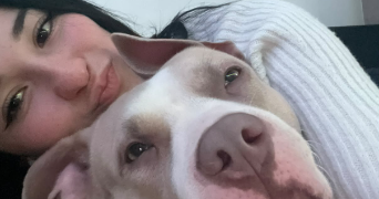 giulia pet sitter à LE PERREUX SUR MARNE 94170_2