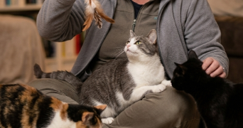 maryline pet sitter à LA CHAPELLE NEUVE 56500_1