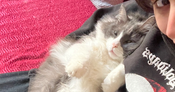 isha pet sitter à PARIS 20 75020_1