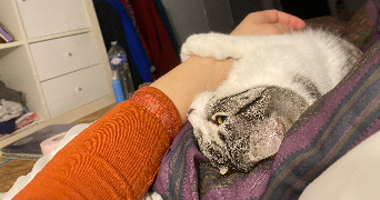 salomé pet sitter à MARSEILLE 01 13001_3