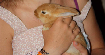 manelle pet sitter à LIÈGE 4000_9
