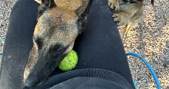 vanessa pet sitter à MARSEILLE 06 13006_4