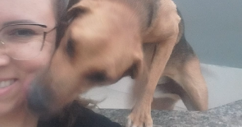 juliana pet sitter à PARIS 13 75013_4