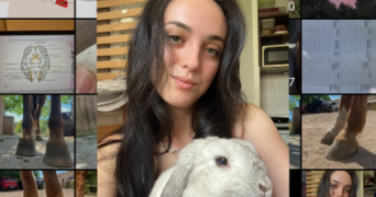 anaël pet sitter à ARACHES LA FRASSE 74300_7