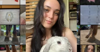 anaël pet sitter à ARACHES LA FRASSE 74300