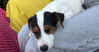 marily pet sitter à CLICHY 92110_8