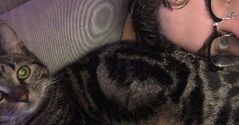 hugo pet sitter à GRETZ ARMAINVILLIERS 77220_1