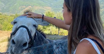 nina pet sitter à PARIS 15 75015_4