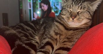 manon pet sitter à CHAMPIGNEULLES 54250_4