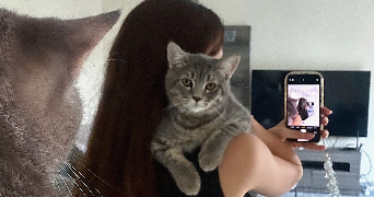 lama pet sitter à IVRY SUR SEINE 94200_2