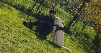 fabien pet sitter à ST GERMAIN DE LA GRANGE 78640_0