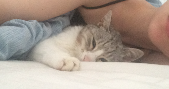 lucie pet sitter à PARIS 18 75018_7