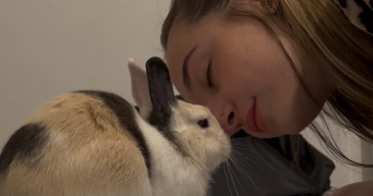 loanne pet sitter à MAILLY LA VILLE 89270_2