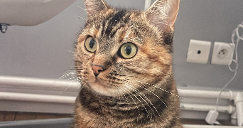 leonie pet sitter à Paris 75014_2