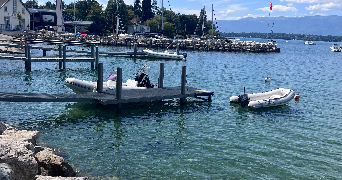 lou pet sitter à CUGUEN 35270_0