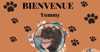 leslie anne pet sitter à STE GENEVIEVE DES BOIS 91700_5