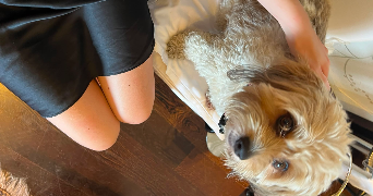 eva pet sitter à PARIS 17 75017_4