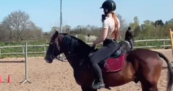 camille pet sitter à AIZENAY 85190