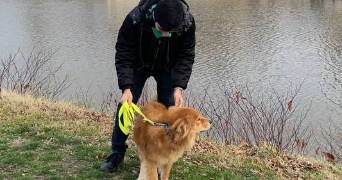 mahan pet sitter à ROUEN 76000_2