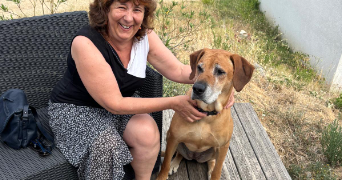 isabelle pet sitter à CARCASSONNE 11000_0