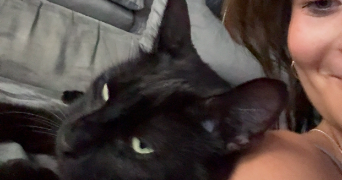 romane pet sitter à CLERMONT-FERRAND 63000_4