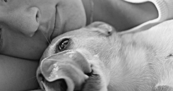 melissa pet sitter à Plabennec 29860_5