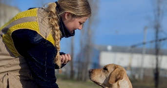 lola pet sitter à ST GENIS LES OLLIERES 69290_2