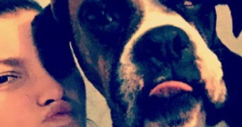 camille pet sitter à BAILLEUL 59270_2