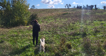leni pet sitter à VOREPPE 38340_2
