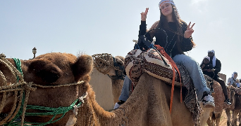 cantrel pet sitter à QUINCY SOUS SENART 91480_1