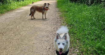 chérine pet sitter à MARSEILLE 01 13001_2