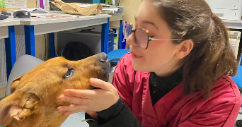 marie pet sitter à TOULOUSE 31000_0