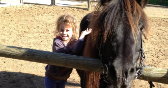 cantrel pet sitter à QUINCY SOUS SENART 91480_5