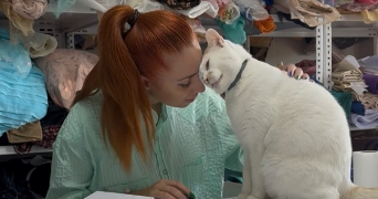 petrova pet sitter à COURBEVOIE 92400_2