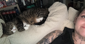 maëva pet sitter à CLOHARS FOUESNANT 29950_1