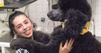 mya pet sitter à TREGUEUX 22950_2