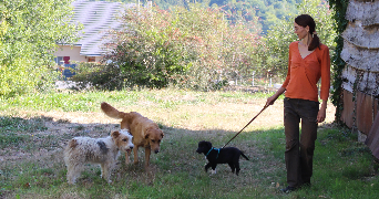 edith pet sitter à ST CHAMANT 19380_2