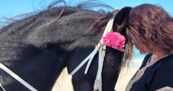 diane pet sitter à Cergy 95800_9