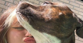 rachelle pet sitter à COURRIERES 62710_4