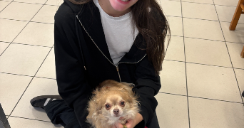 inès pet sitter à GAGNY 93220_6