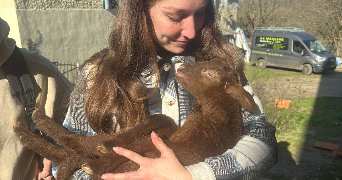 marion pet sitter à TAPONNAT FLEURIGNAC 16110_4