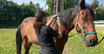 lucas pet sitter à CRY 89390_5