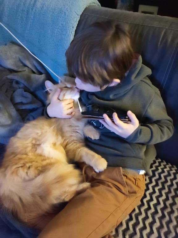 Carine pet sitter à Lapugnoy 62122_3