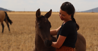 sophie pet sitter à Paris 75015_7