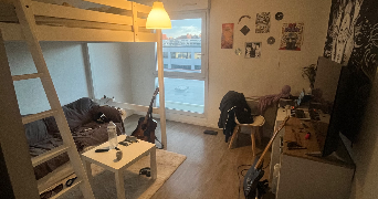 tristan pet sitter à ROUEN 76000_1