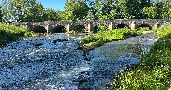 lucas pet sitter à CRY 89390_4