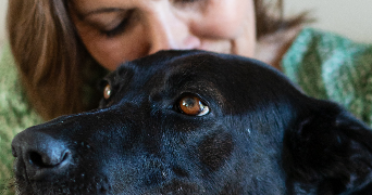 nathalie dog sitter à LANDEBIA 22130_1