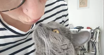 france pet sitter à ASNIERES SUR SEINE 92600