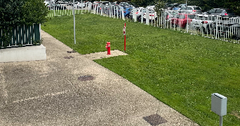 sophie pet sitter à VILLEPINTE 93420_1