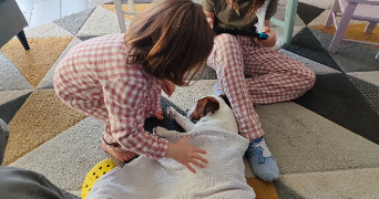 yoan dog sitter à VENETTE 60280_3